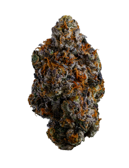 COAST MOUNTAIN CANNABIS - BC ORGANIC LEMON CHERRY PIE - 3.5 - GRAM