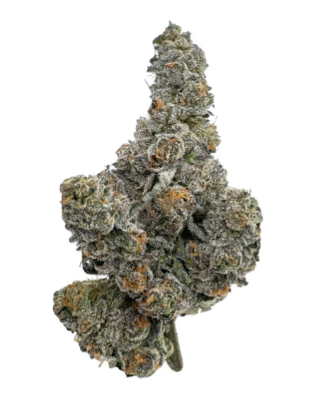 Gastro Pop - 14g Hybrid Whole Flower | Amani Craft