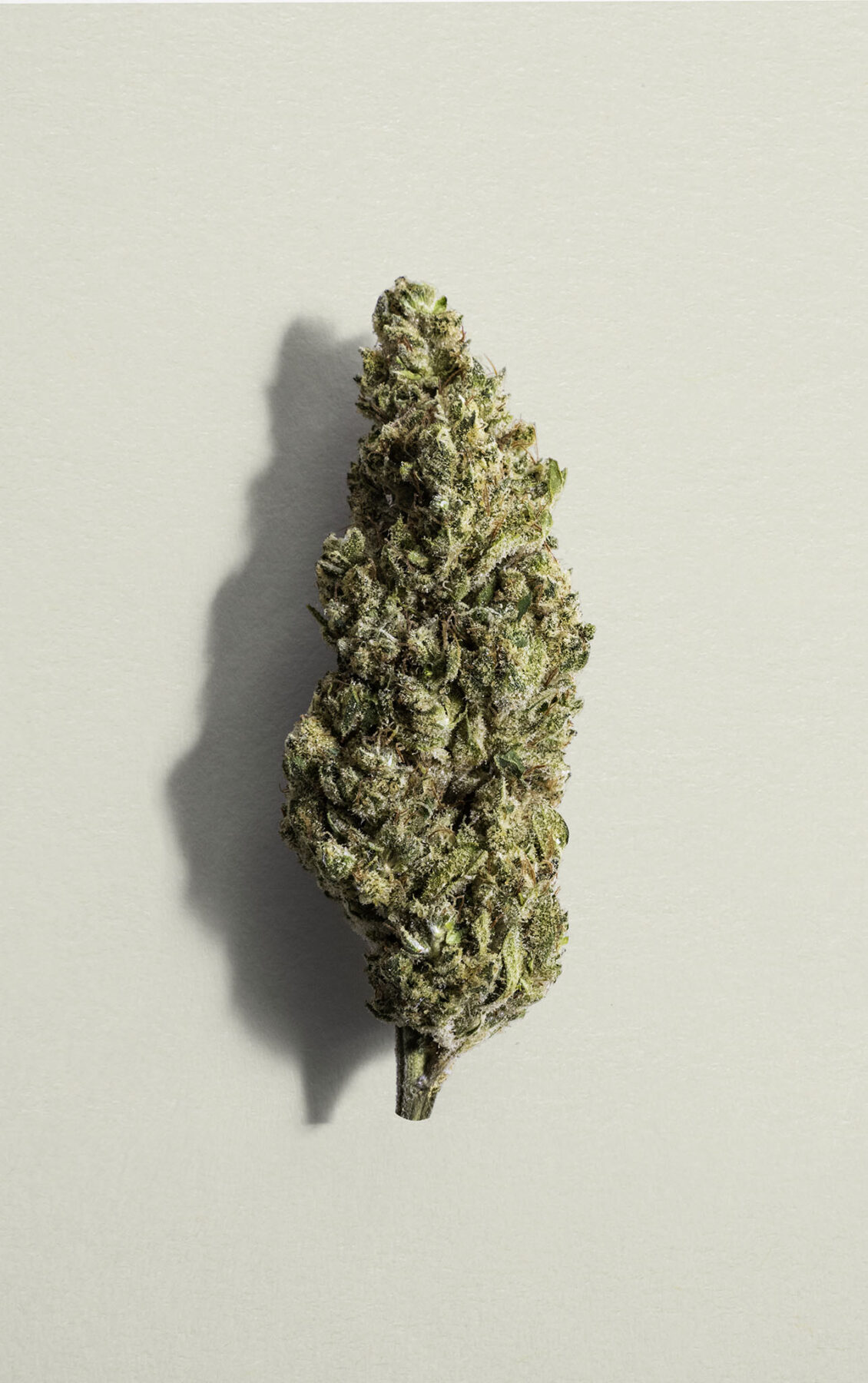 Blue Dream 16 - 28g Sativa Flower | Pure Sunfarms