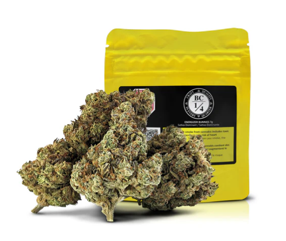 BC 1/4 - ENERGIZER BUNNIES