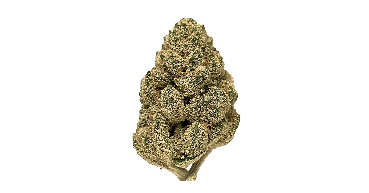 Dream Catcher - 28g Sativa Whole Flower | Bonkers
