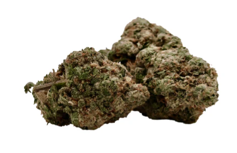 Product image Banana Ram - 7g Sativa Whole Flower | Craftport 1