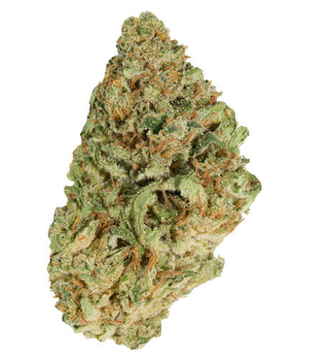 Jean Guy 28g Sativa Flower | Good Supply