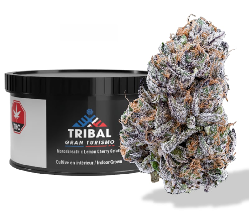 Gran Turismo - 3.5g Indica Whole Flower | Tribal