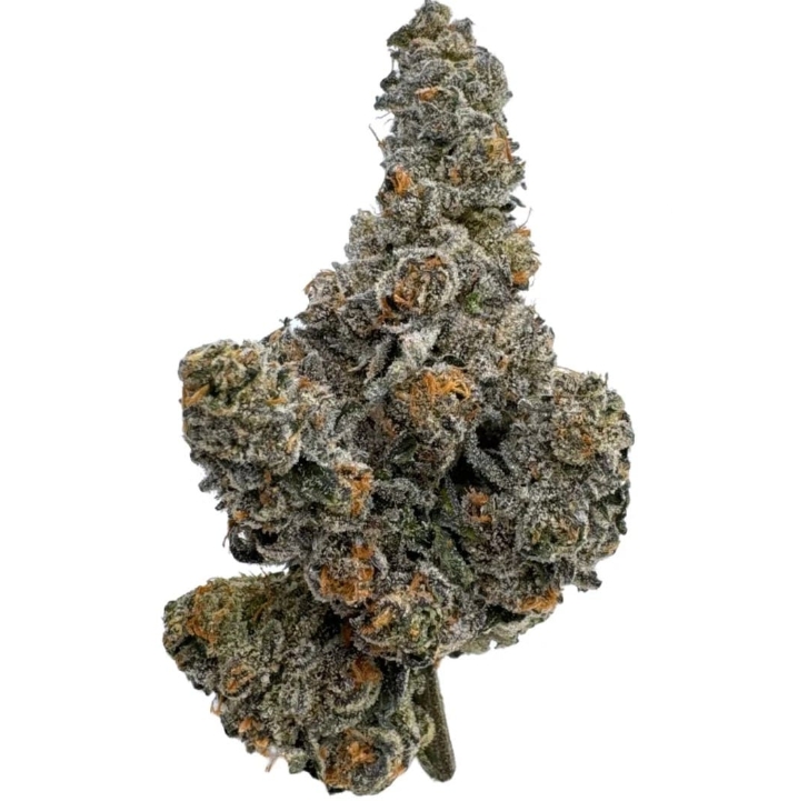 Gastro Pop - 7g Hybrid Whole Flower | Amani Craft