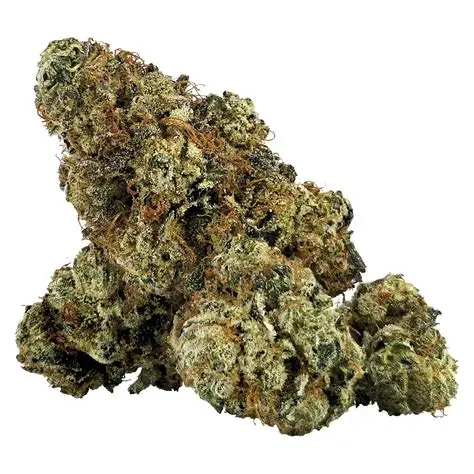 Raspberry Ice Lto - 28g Indica Whole Flower | Dealr